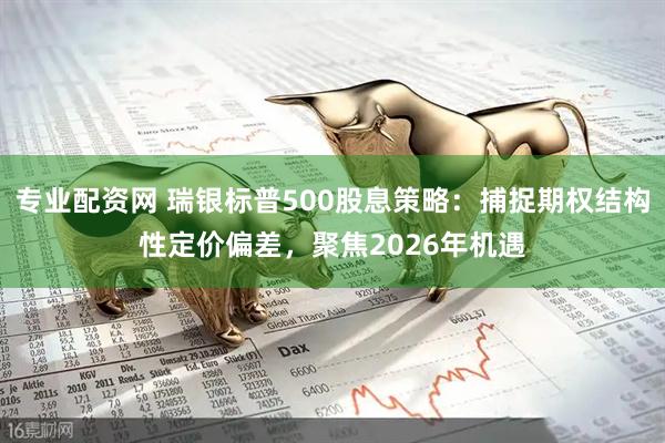 专业配资网 瑞银标普500股息策略：捕捉期权结构性定价偏差，聚焦2026年机遇