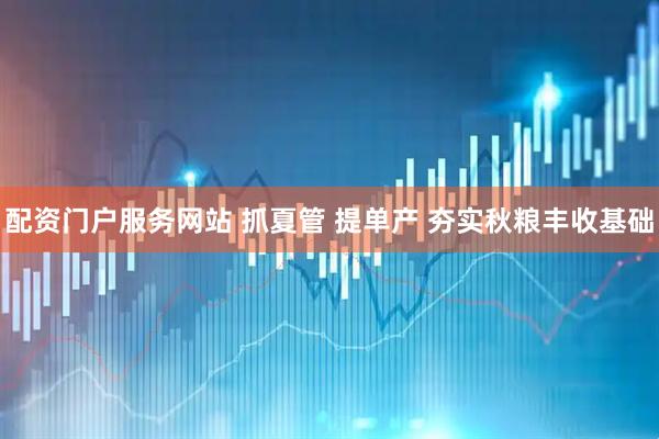 配资门户服务网站 抓夏管 提单产 夯实秋粮丰收基础
