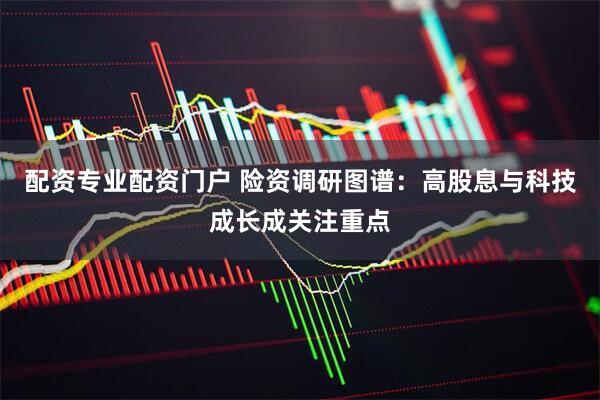 配资专业配资门户 险资调研图谱：高股息与科技成长成关注重点